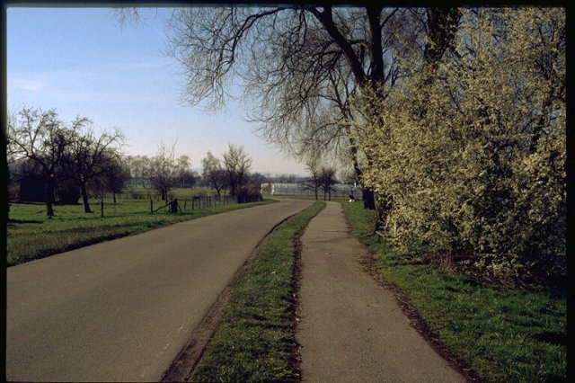 Bevor die Siedlung gebaut wurde